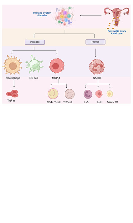 Relationship between leptin receptor and TNF-α in obesity and polycystic ovary syndrome