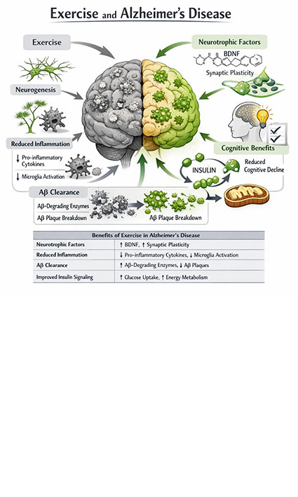Healing through movement: narrative review on exercise and neurological disorders